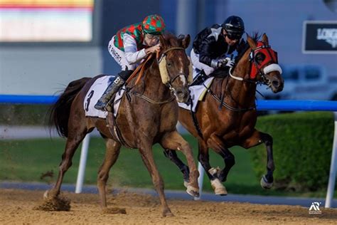 Meydan Races today .